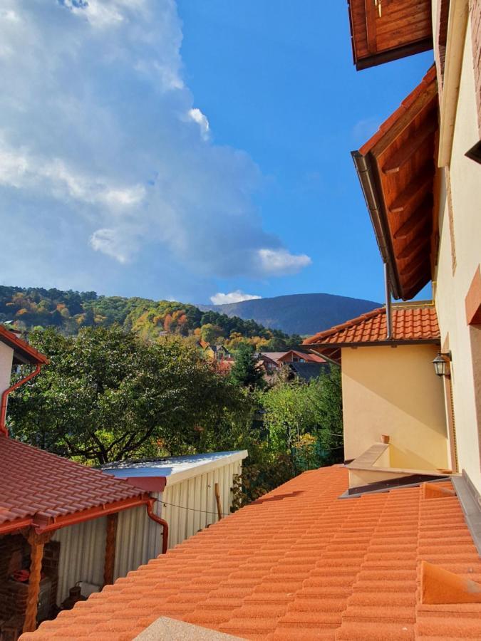 Apartament La Casa In Curte Comuna Lejlighed Codlea Eksteriør billede