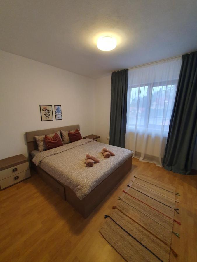 Apartament La Casa In Curte Comuna Lejlighed Codlea Eksteriør billede